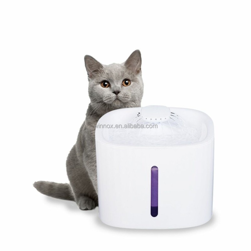 Pet Drinking Fountain Manufacturer - 3L Automatic Dispenser