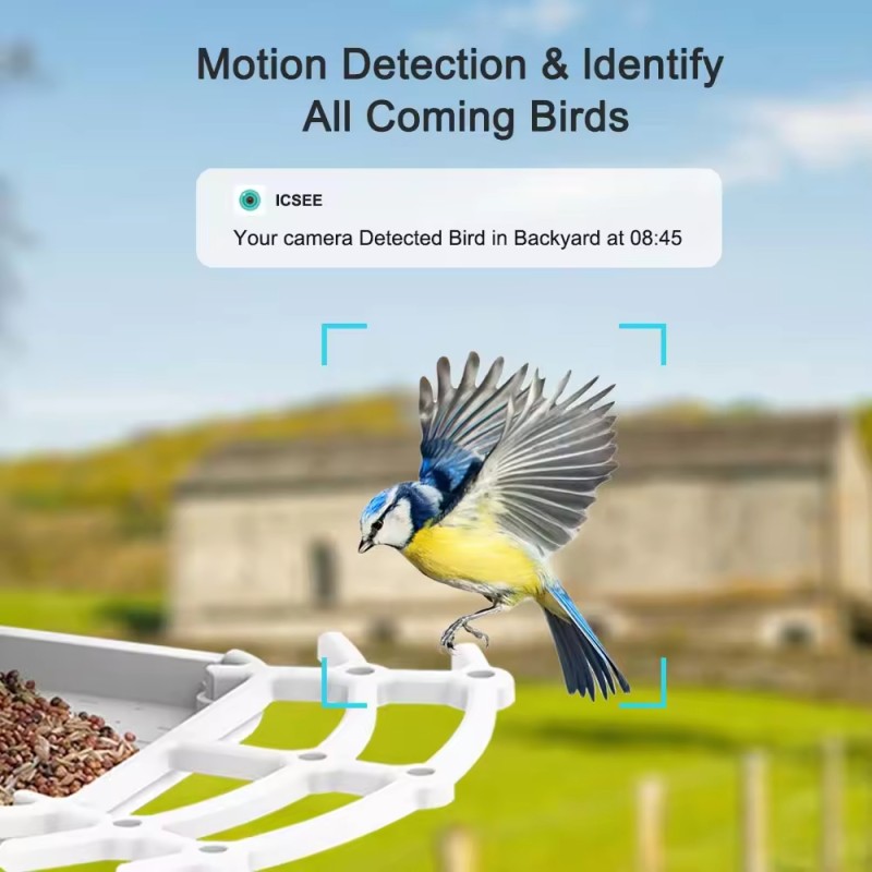 Bird Feeder Manufacturer - Wifi Solar HD Video Automatic