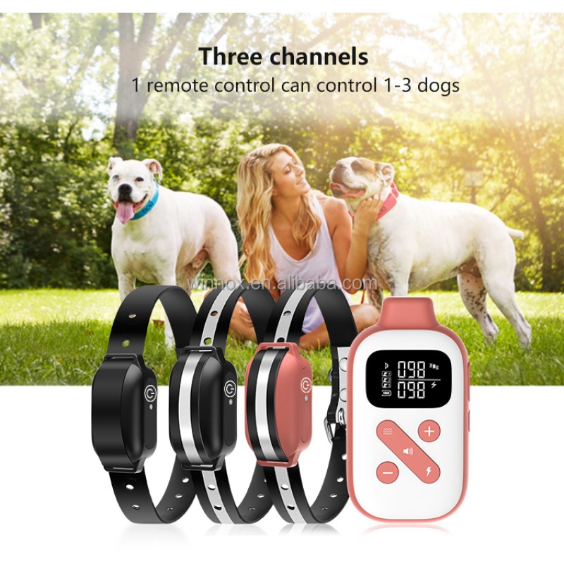 Dog Shock Collar Manufacturer - 2-in-1 Waterproof Anti-Barking