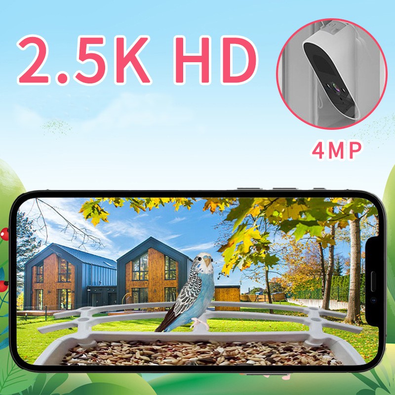 Bird Feeder Manufacturer - Wifi Solar HD Video Automatic