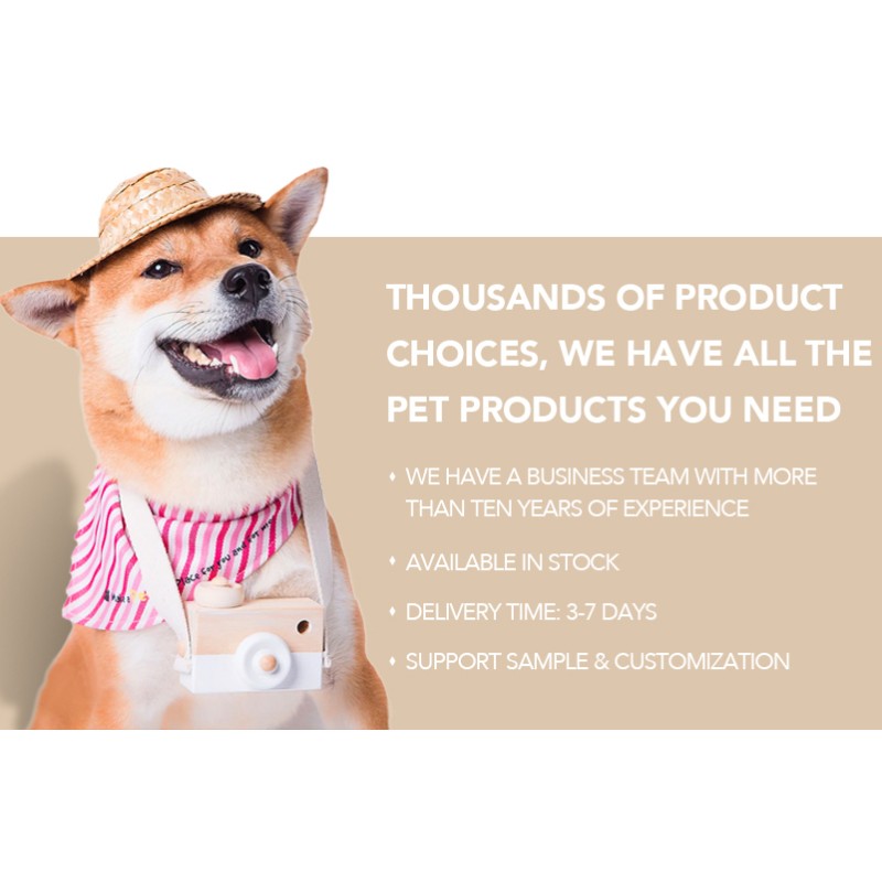 Pet Hair Dryer Factory - 1400W Stainless Steel Low Noise