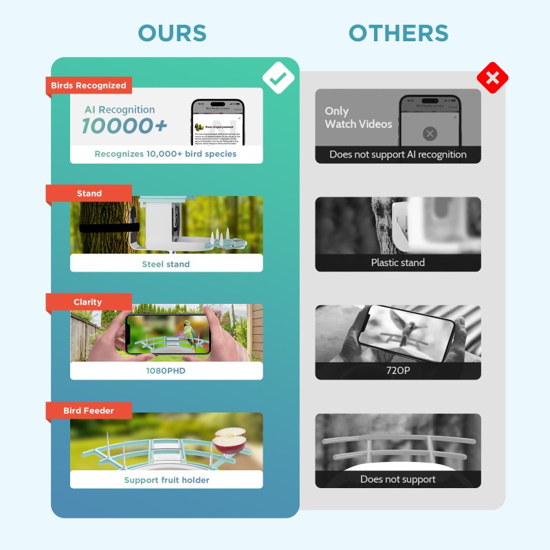 Bird Feeder Supplier - Solar-Powered IP65 Night Vision