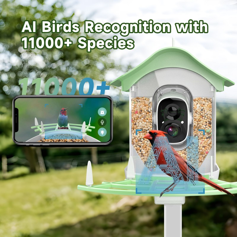 Bird Feeder Manufacturer - 2K AI Recognition Solar