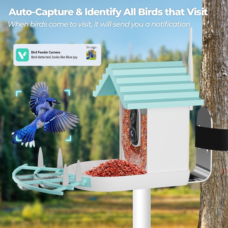 Bird Feeder Supplier - Solar-Powered IP65 Night Vision