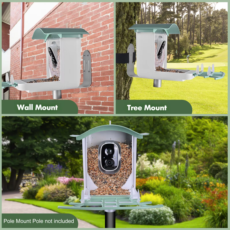 Bird Feeder Supplier - Solar Powered AI Species Recognition