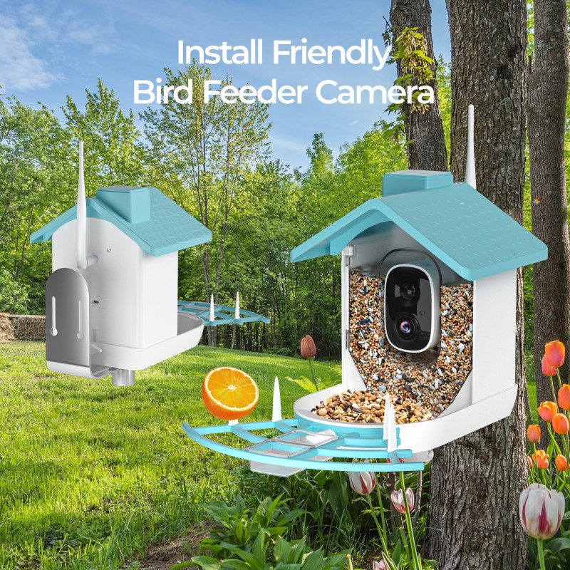 Bird Feeder Manufacturer - AI Identify Wireless WIFI Metal