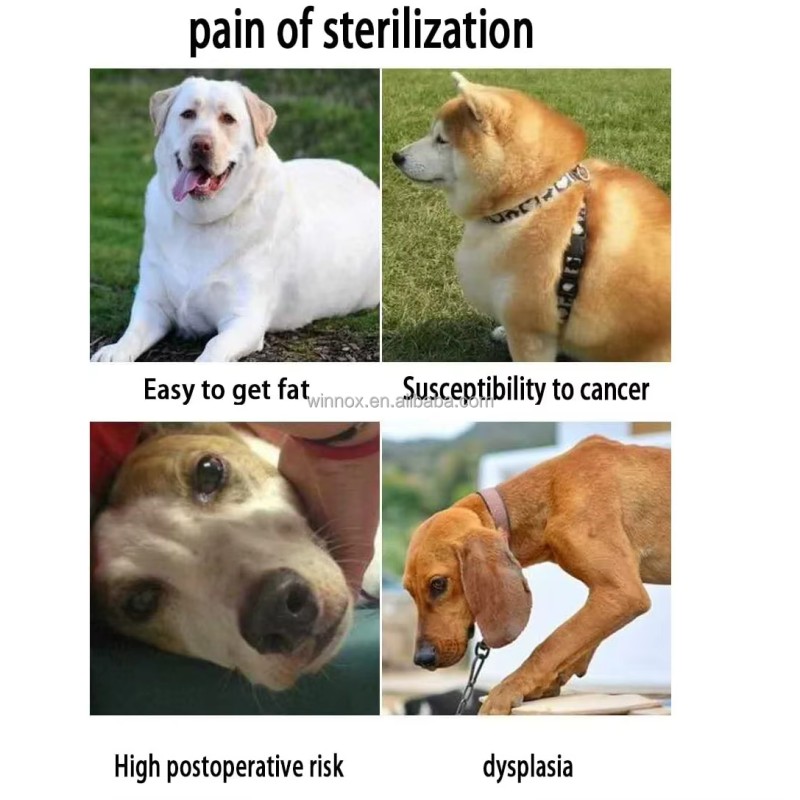 Dog Toy Factory - Physiological Needs Training Relief