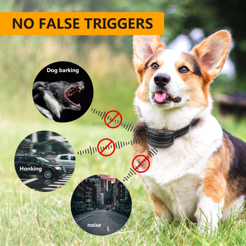 Dog Shock Collar Manufacturer - Remote Control Correct Misconduct