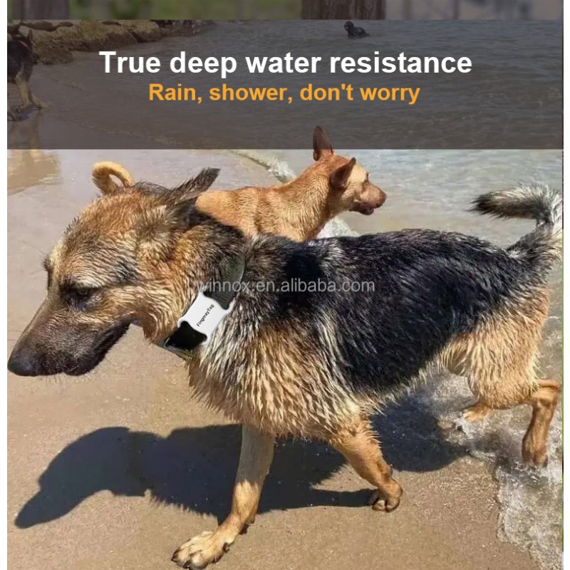 Pet GPS Tracker Manufacturer - Mini Waterproof Remote Control