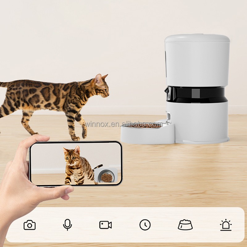 Pet Feeder Supplier - Double Bowl Automatic Stainless Steel