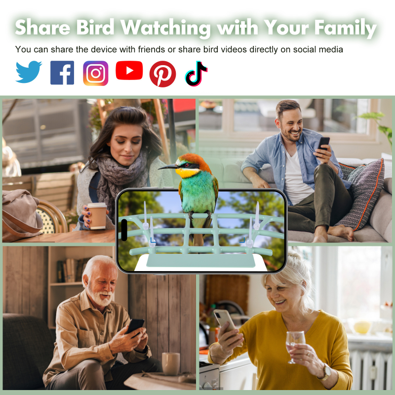 Bird Feeder Supplier - Solar Powered AI Species Recognition