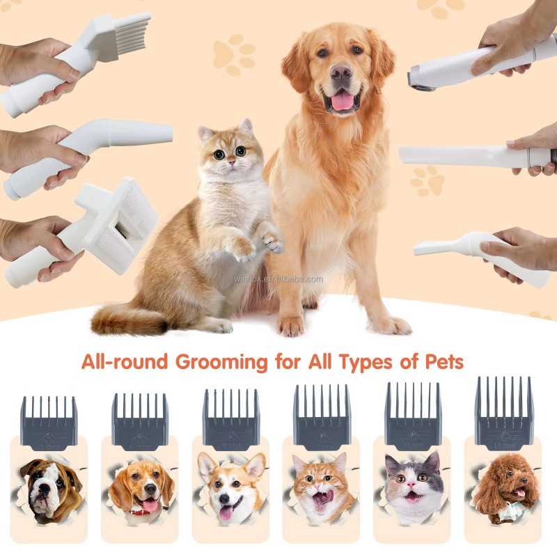 Pet Grooming Vacuum Supplier - 1100W Cordless Vacuum Blowing