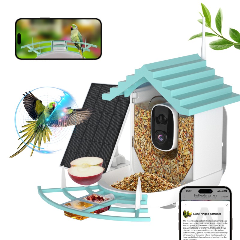 Bird Feeder Supplier - Solar-Powered IP65 Night Vision