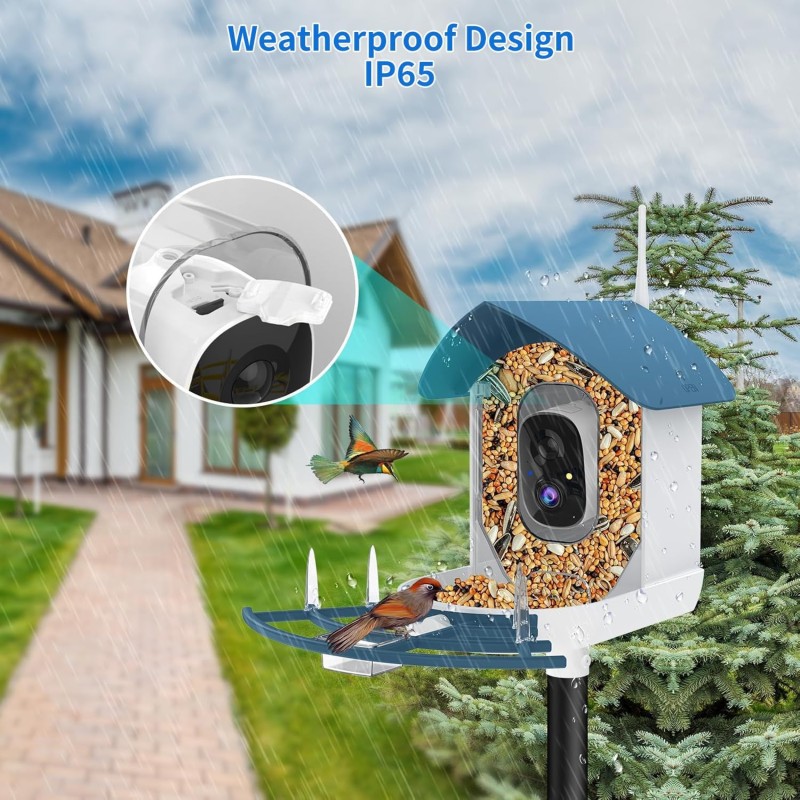 Bird Feeder Supplier - Solar Powered 2K Camera AI Identify