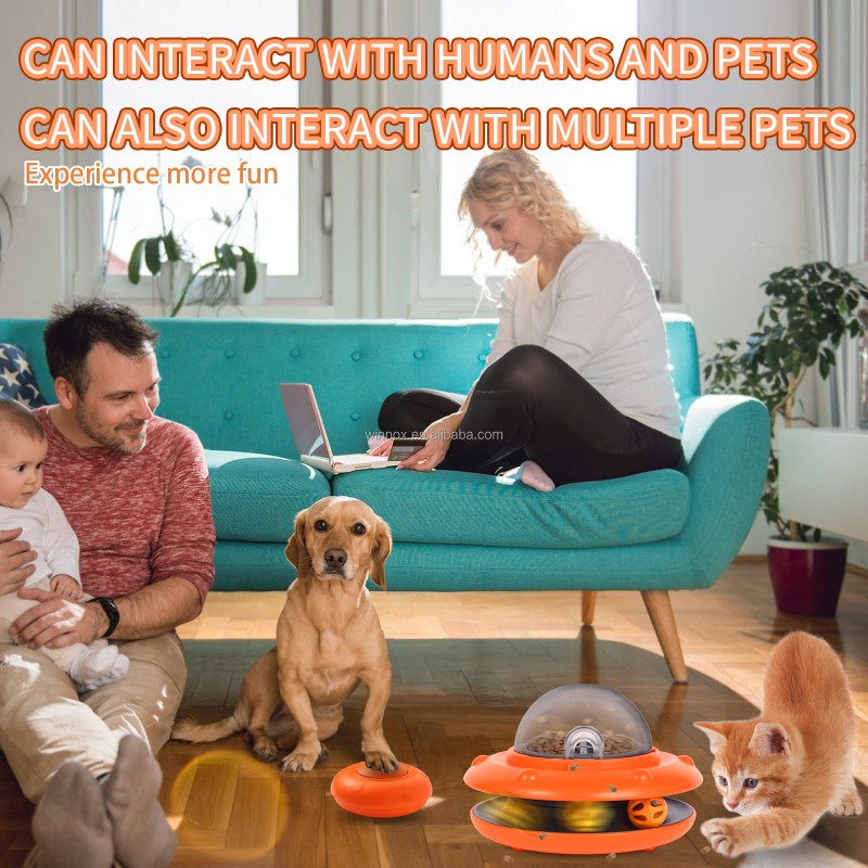 Pet Chew Toy Supplier - Interactive Leaking Hole Flying Disc