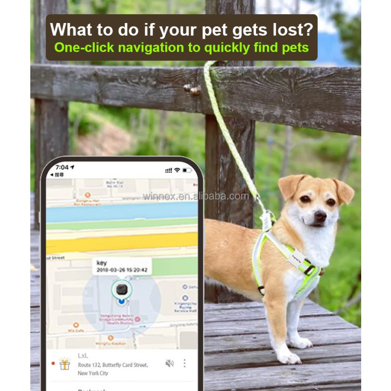 Pet GPS Tracker Manufacturer - Mini Waterproof Remote Control