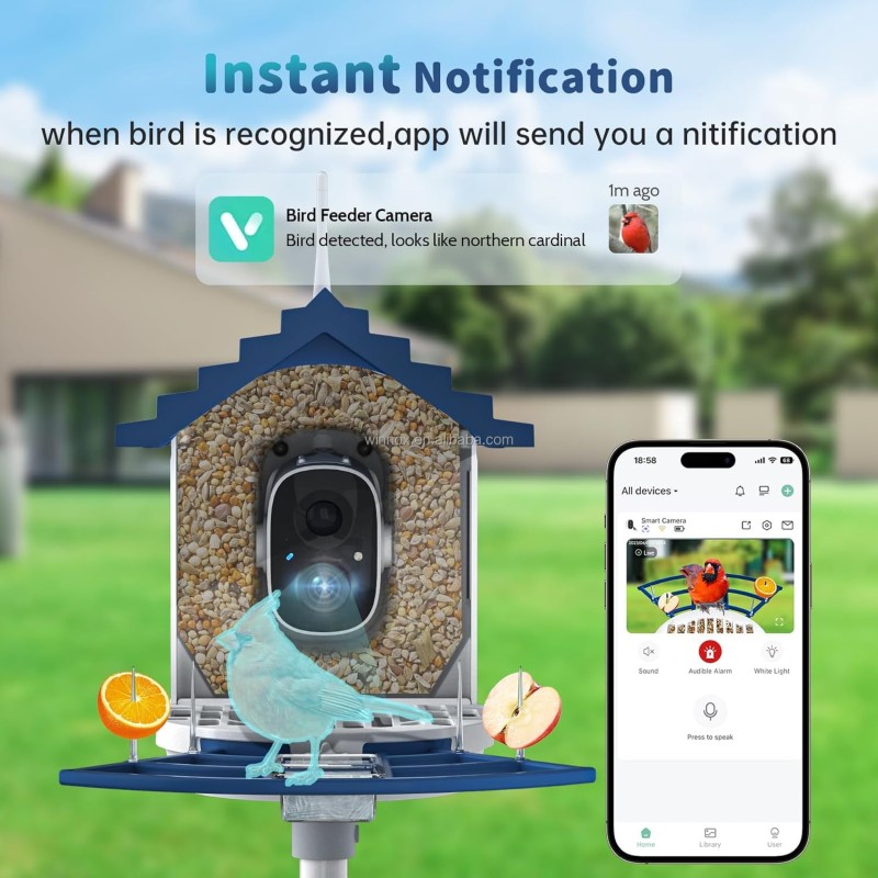 Bird Feeder Supplier - AI Intelligent 4MP HD Solar