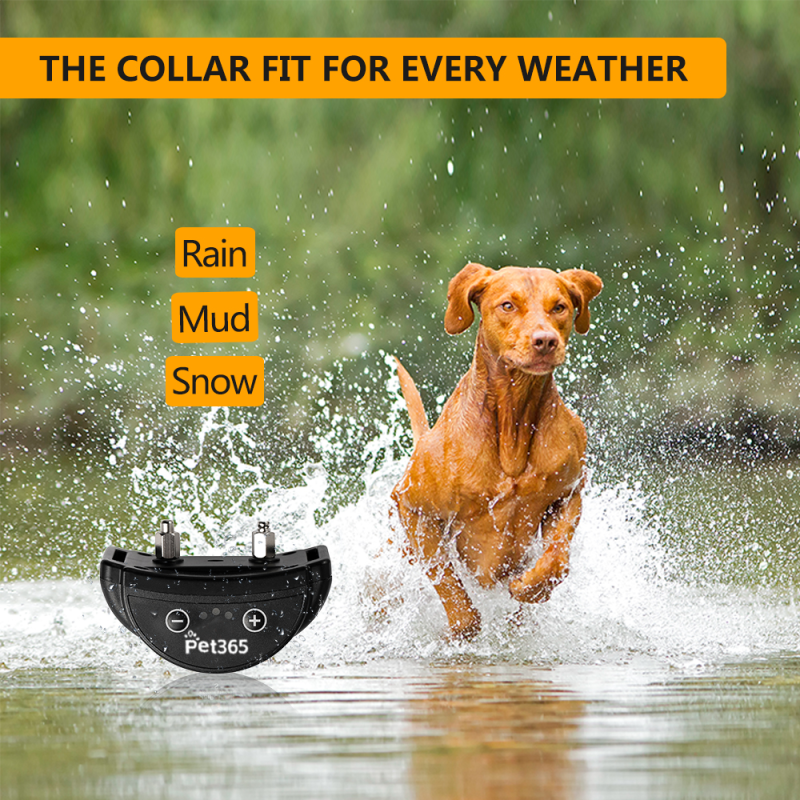 Dog Training Collar Factory - 3 Dogs No Shock Waterproof