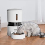 Automatic Pet Feeder