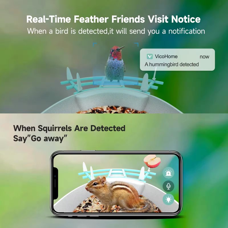 Bird Feeder Supplier - Solar Powered AI Species Recognition