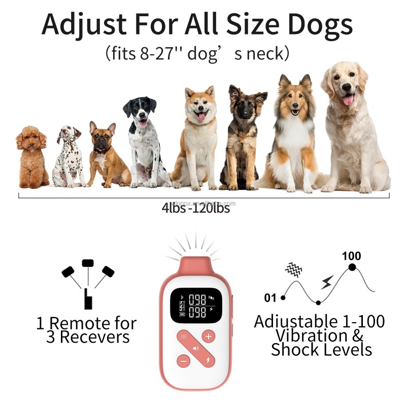 Dog Shock Collar Manufacturer - 2-in-1 Waterproof Anti-Barking