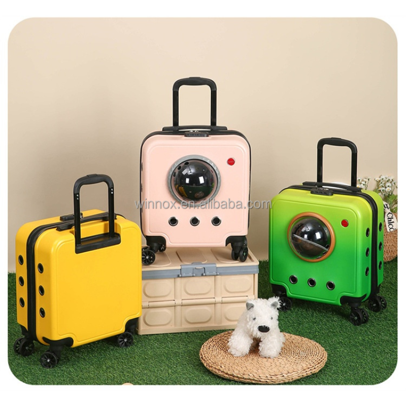 Pet Travel Case Factory - Transparent Airline Crate Backpack