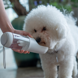 Pet Water Bottle Factory - Outdoor Easy Clean Filtered Water