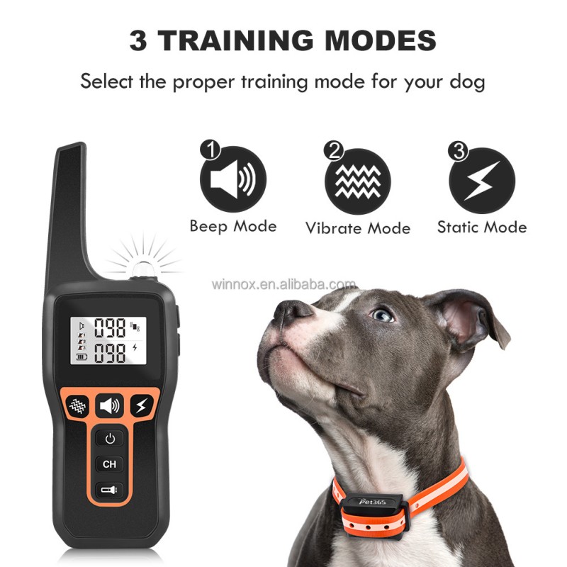 Dog Training Collar Factory - Rechargeable Waterproof Shock