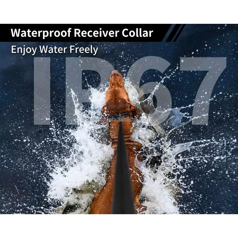 Dog Training Collar Factory - Beep Vibration Shock Rechargeable