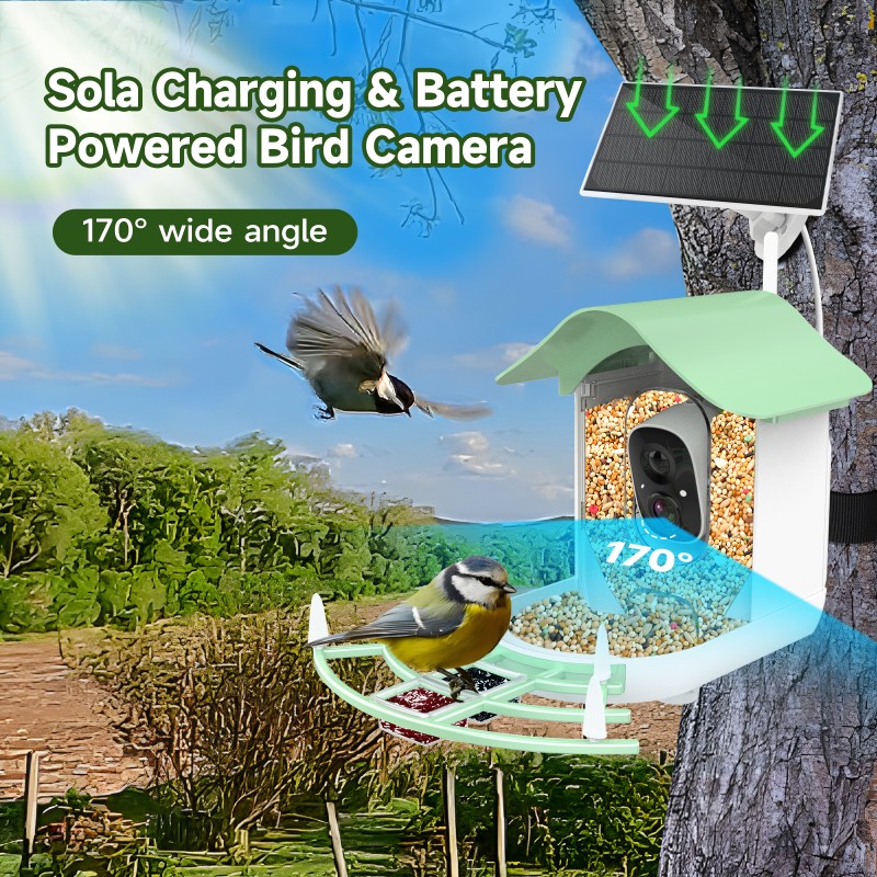 Bird Feeder Supplier - Metal Stand Charging Automatic Bowl