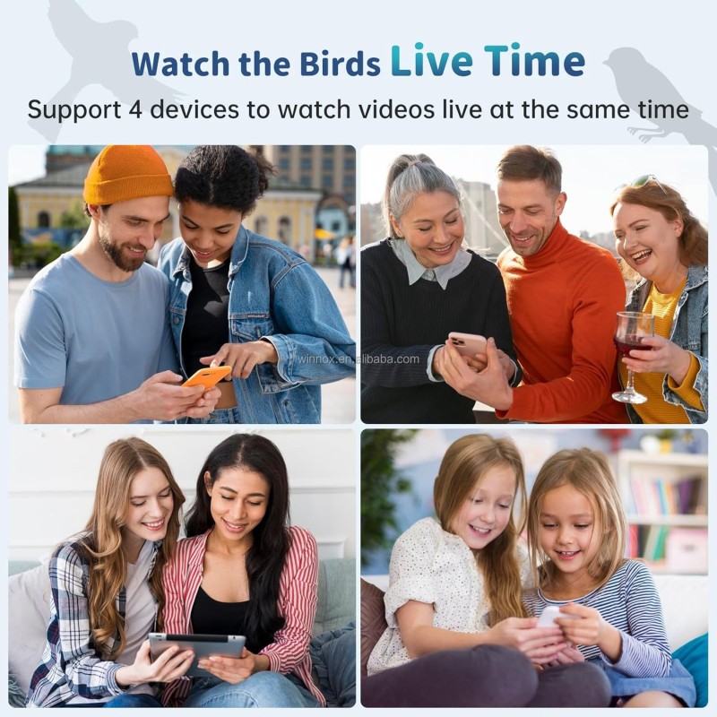 Bird Feeder Factory - Solar Powered Smart AI Camera