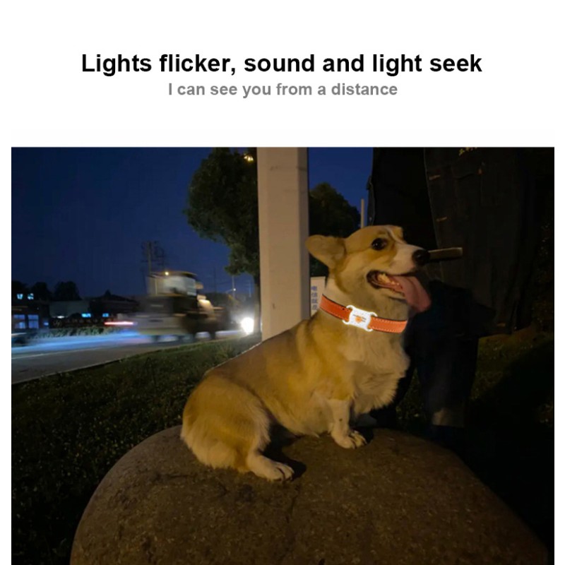 Pet Tracker Supplier - Real Time 4G GPS Mini Locator