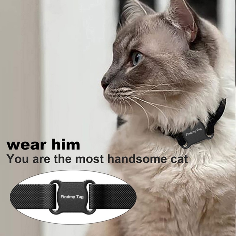 Pet Tracker Supplier - Real Time 4G GPS Mini Locator