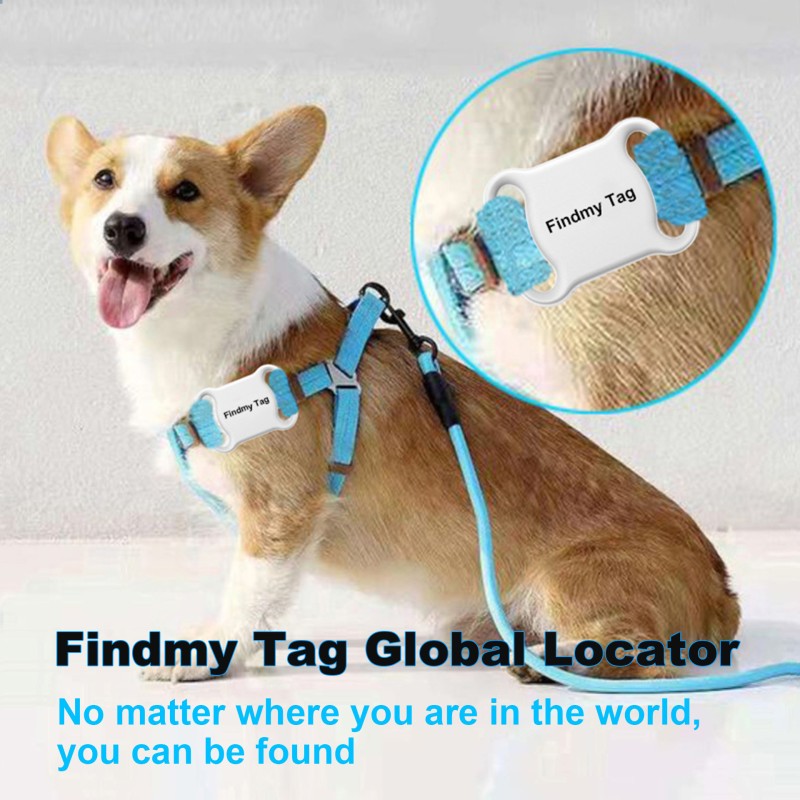Pet Tracker Supplier - Real Time 4G GPS Mini Locator