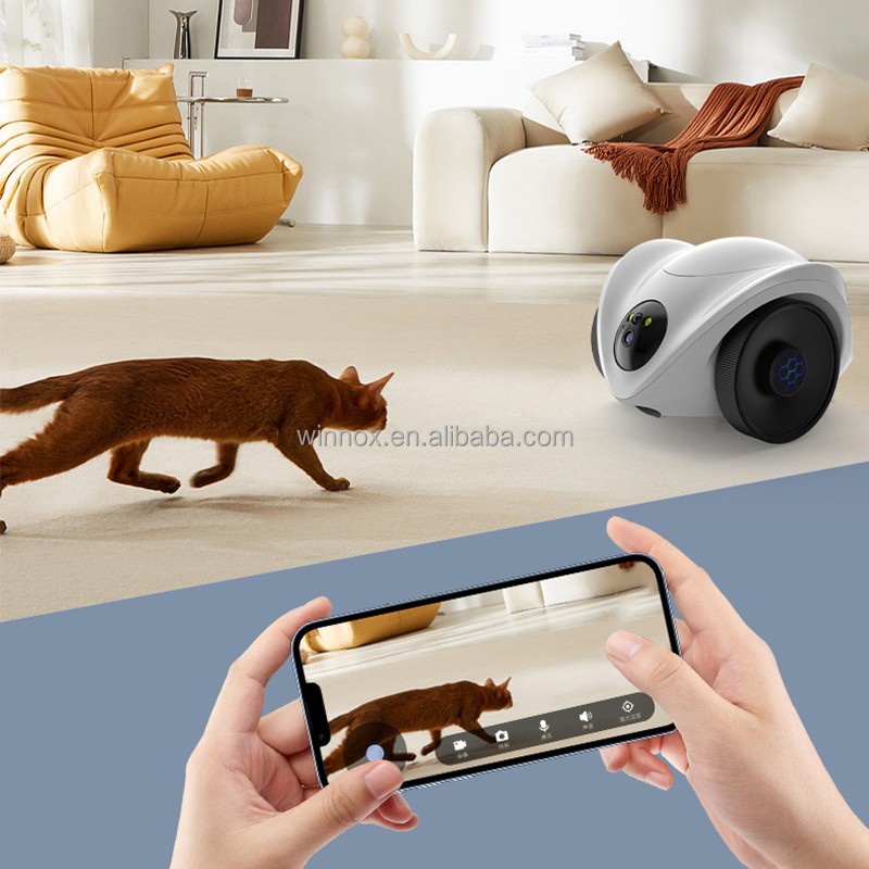 Pet Camera Factory - AI-powered Auto Feeder Laser Monitoring