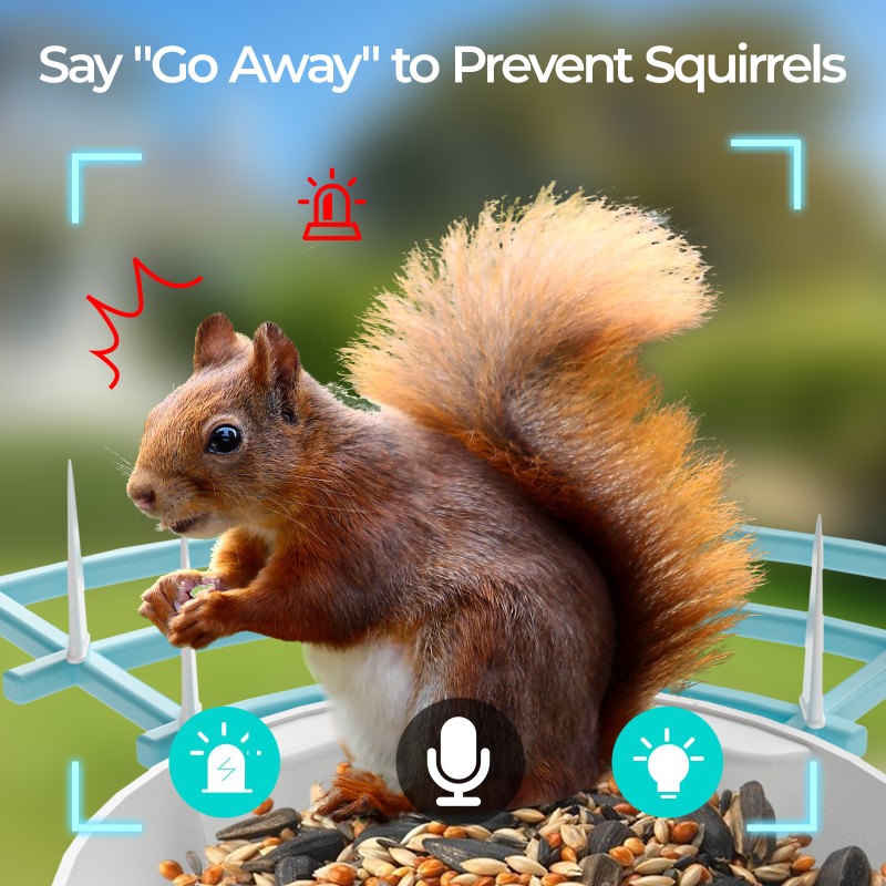 Bird Feeder Manufacturer - AI Identify Wireless WIFI Metal