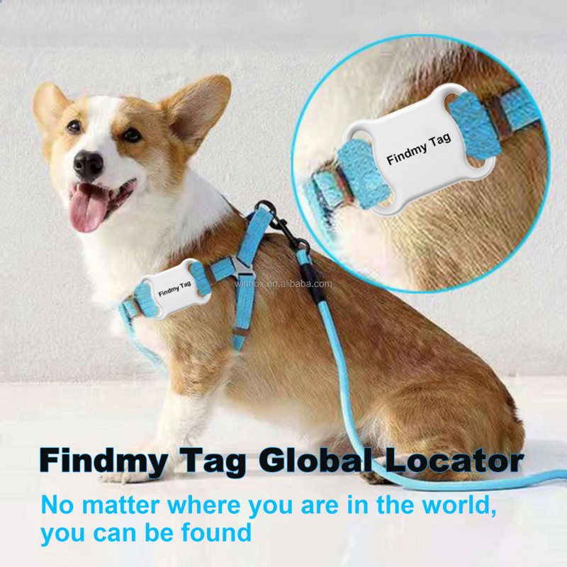 Pet Locator Collar Factory - GPS Global Anti-Lost Air Tag