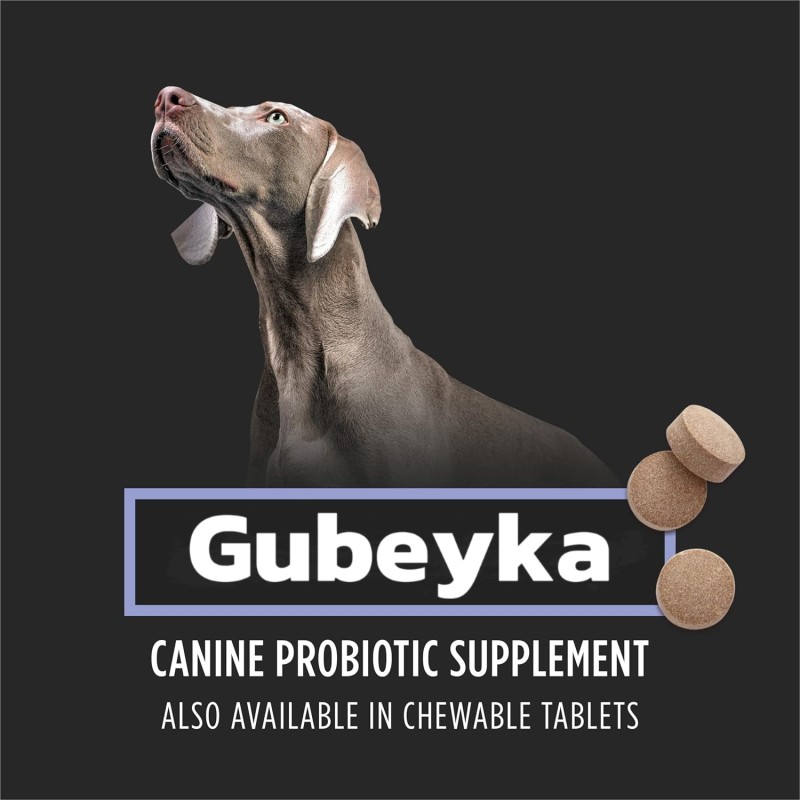 Pet Probiotics Sachet Manufacturer - High Quality Digestive Health Support