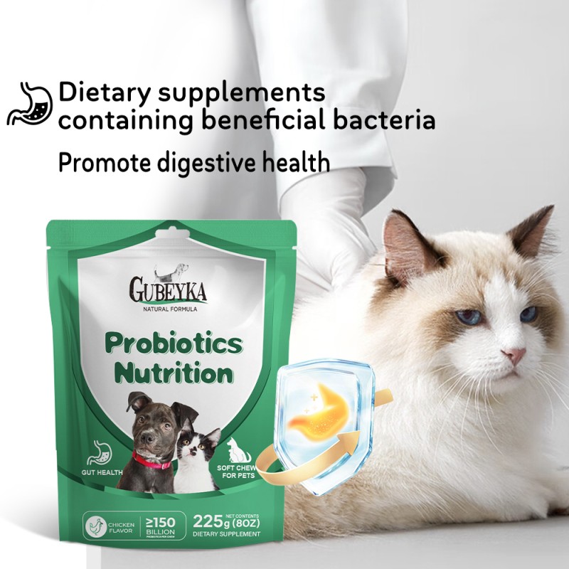 Dog Probiotics Manufacturer - OEM Gut Health Diarrhea Digestive Support