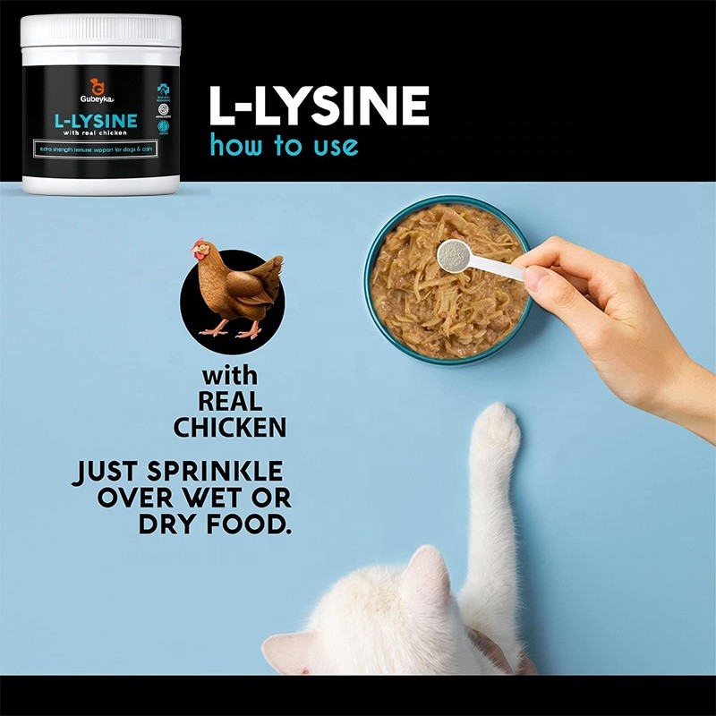 L-Lysine Powder Factory - ODM Fish Flavored Immune Health Support
