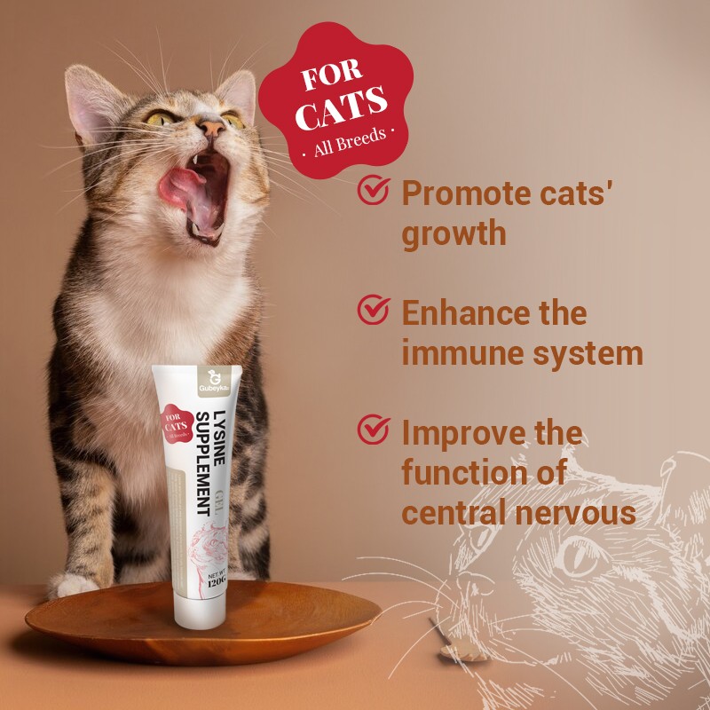 Pet Shampoo Manufacturer - Oatmeal Coconut Cleaning Conditioning Moisturizing