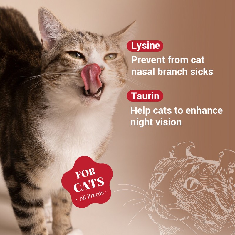 Cat Lysine Supplement Supplier - Private Label Vet Formulated Powder