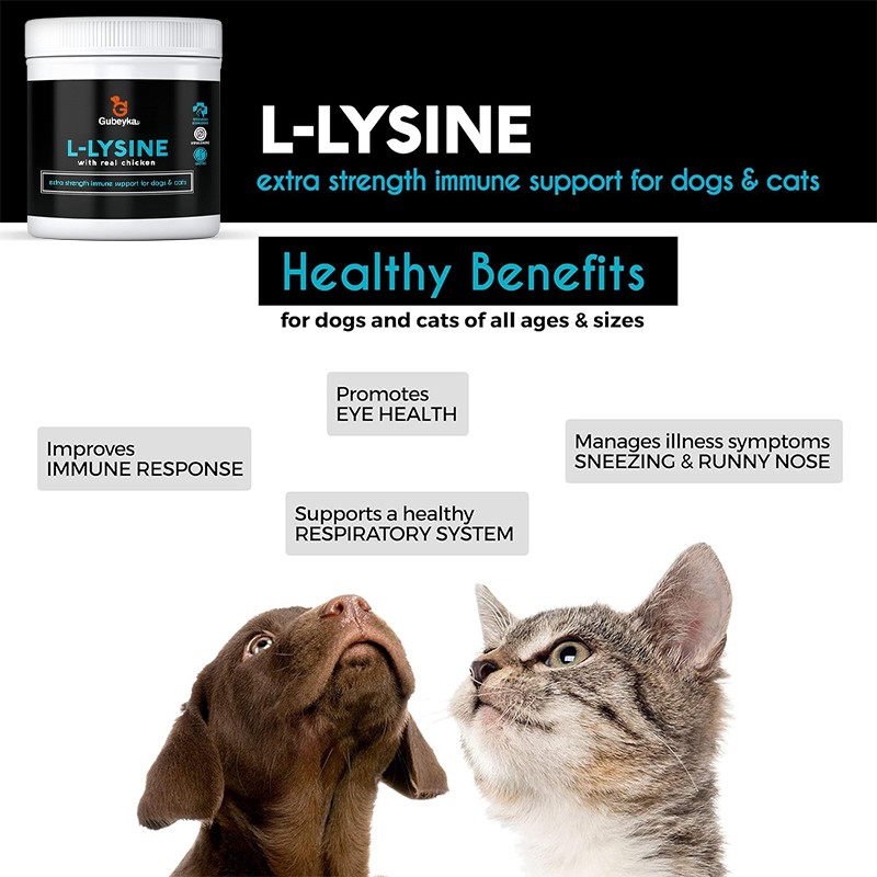 Cat Lysine Paste Supplier - OEM Fish Flavored Immune Respiratory Support