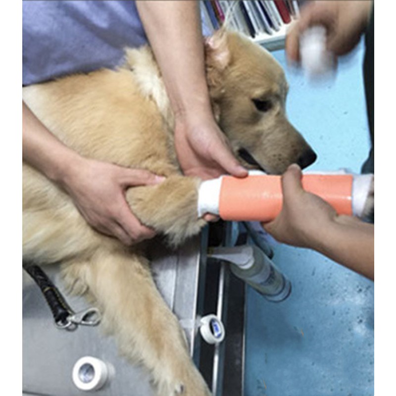 Veterinary Splint Supplier - Soft Aluminum Padded Waterproof Foam