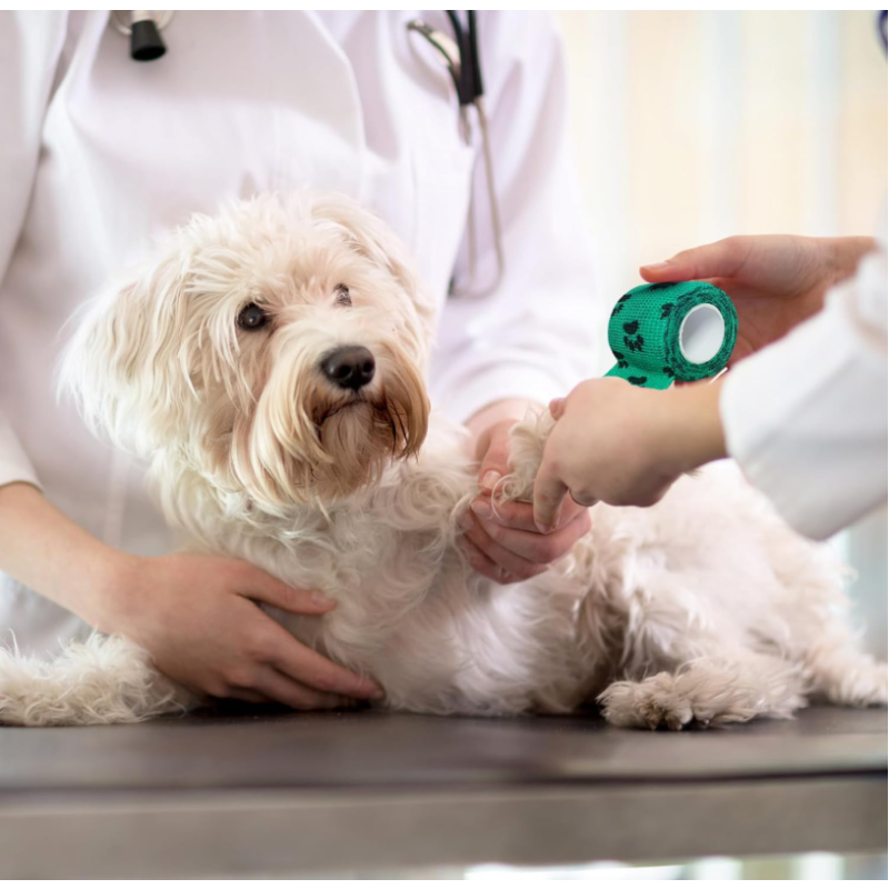 Vet Wrap Bulk Supplier - Cohesive Bandage for Ankle Sprains Pets