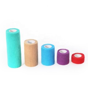 Pet Vet Wrap Factory - Free Sample Custom Logo Elastic Bandage