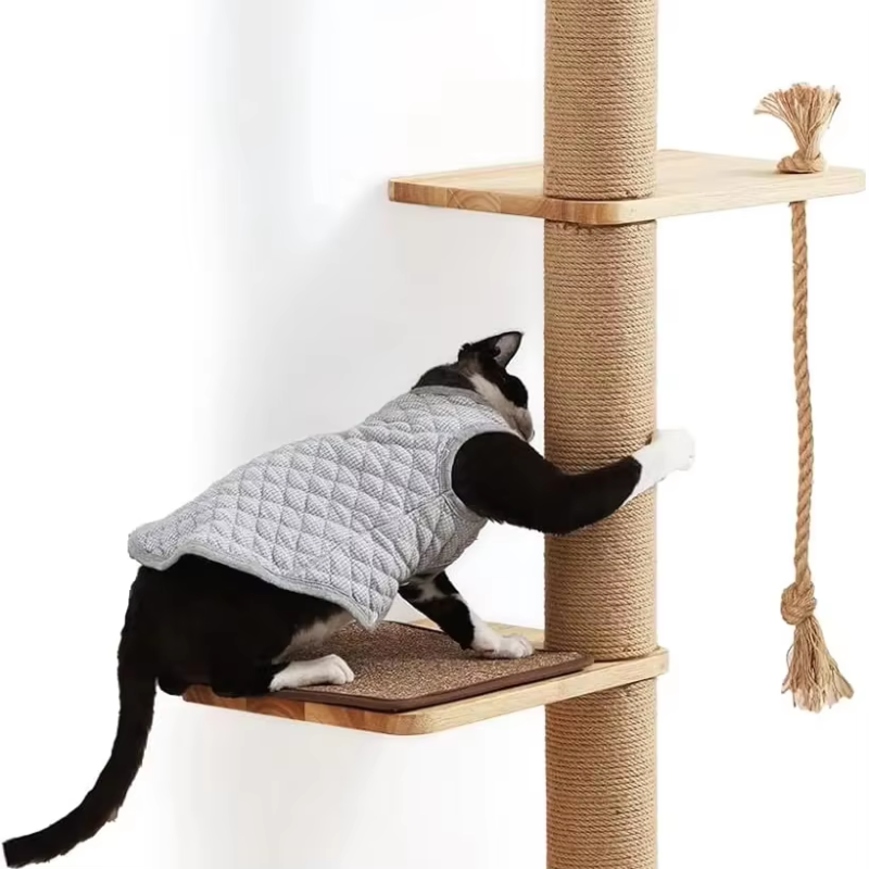 Pet Urn Supplier - Large Wooden with Photo Frame