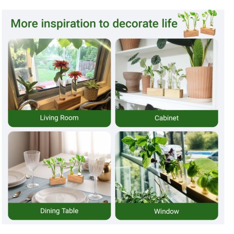 Propagation Station Factory - Double Test Tube Wooden Stand