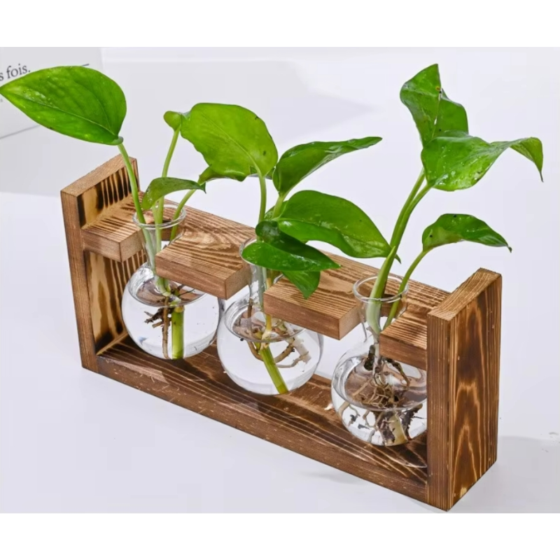 Hydroponic Vase Manufacturer - Round Heart Shape Glass Wood