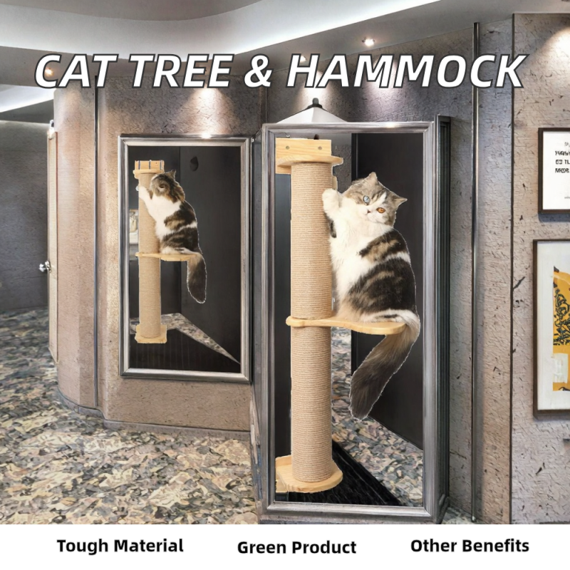 Pet Urn Supplier - Large Wooden with Photo Frame